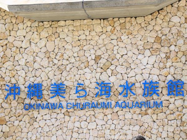 Kariyushi Condominium Resort Nago Rb Villa Nakijin Εξωτερικό φωτογραφία